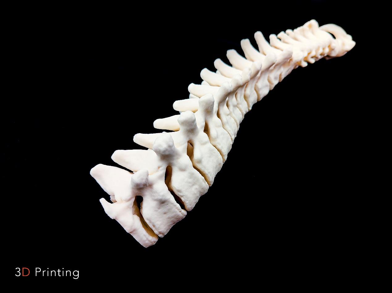 選擇性激光燒結(jié)